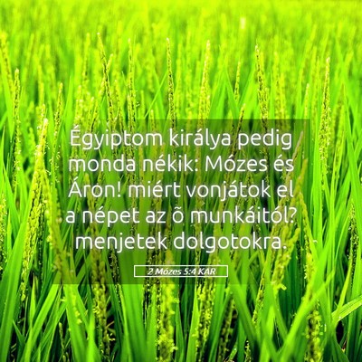 Picture 05 - 2 Mózes 5:4 KAR - Égyiptom királya pedig monda nékik: Mózes és - Bible Verse Picture
