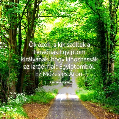 Picture 05 - 2 Mózes 6:27 KAR - Õk azok, a kik szóltak a Faraónak Égyiptom - Bible Verse Picture
