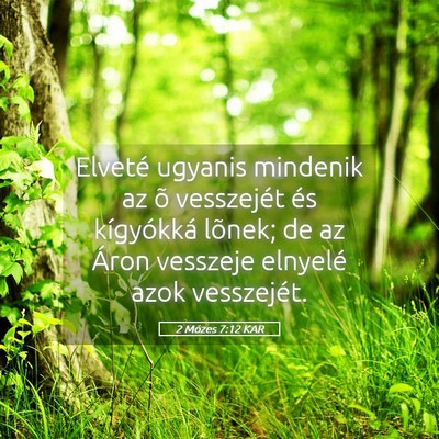 Picture 05 - 2 Mózes 7:12 KAR - Elveté ugyanis mindenik az õ vesszejét és - Bible Verse Picture