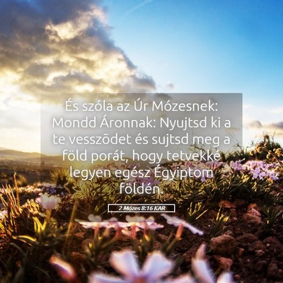Picture 05 - 2 Mózes 8:16 KAR - És szóla az Úr Mózesnek: Mondd Áronnak: - Bible Verse Picture