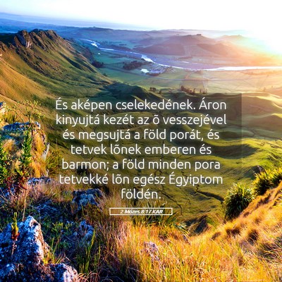 Picture 05 - 2 Mózes 8:17 KAR - És aképen cselekedének. Áron kinyujtá kezét - Bible Verse Picture