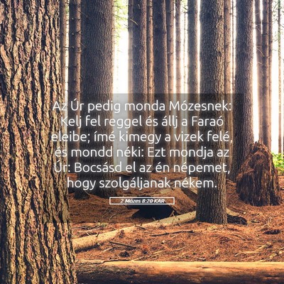 Picture 05 - 2 Mózes 8:20 KAR - Az Úr pedig monda Mózesnek: Kelj fel reggel és - Bible Verse Picture