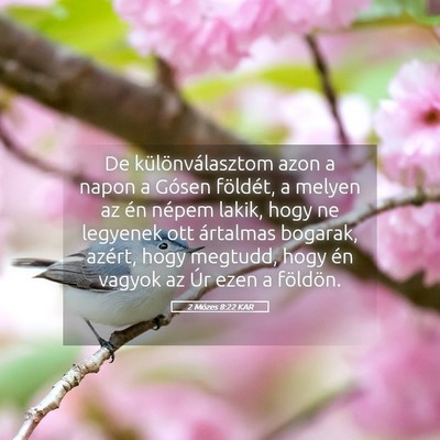 Picture 05 - 2 Mózes 8:22 KAR - De különválasztom azon a napon a Gósen - Bible Verse Picture