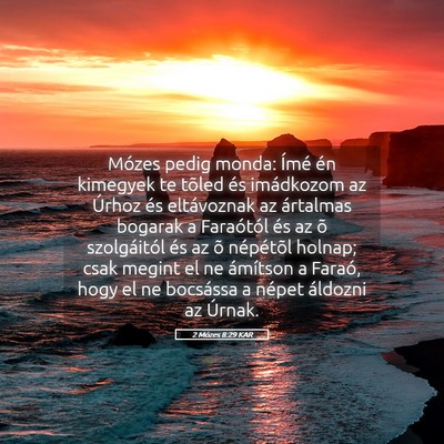Picture 05 - 2 Mózes 8:29 KAR - Mózes pedig monda: Ímé én kimegyek te tõled - Bible Verse Picture