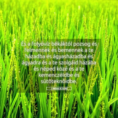 Picture 05 - 2 Mózes 8:3 KAR - És a folyóvíz békáktól pozsog és felmennek - Bible Verse Picture