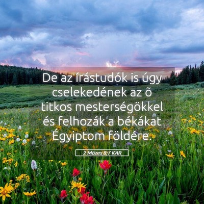 Picture 05 - 2 Mózes 8:7 KAR - De az írástudók is úgy cselekedének az õ - Bible Verse Picture