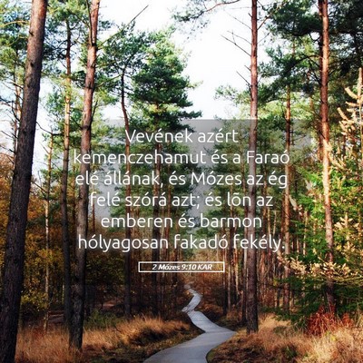 Picture 05 - 2 Mózes 9:10 KAR - Vevének azért kemenczehamut és a Faraó elé - Bible Verse Picture