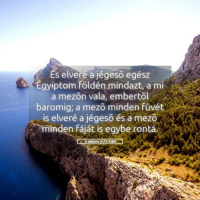 Picture 05 - 2 Mózes 9:25 KAR - És elveré a jégesõ egész Égyiptom földén - Bible Verse Picture