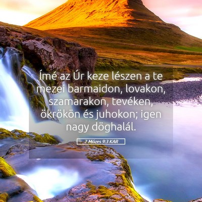 Picture 05 - 2 Mózes 9:3 KAR - Ímé az Úr keze lészen a te mezei barmaidon, - Bible Verse Picture