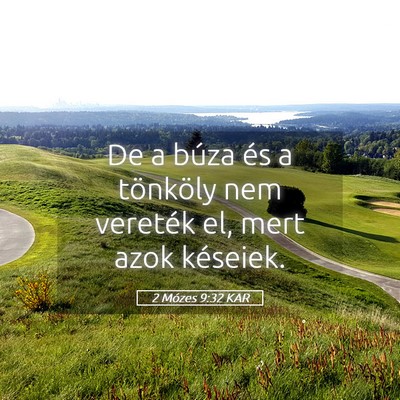 Picture 05 - 2 Mózes 9:32 KAR - De a búza és a tönköly nem vereték el, mert - Bible Verse Picture