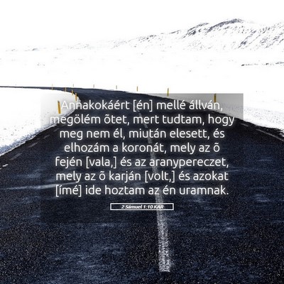 Picture 05 - 2 Sámuel 1:10 KAR - Annakokáért [én] mellé állván, megölém - Bible Verse Picture