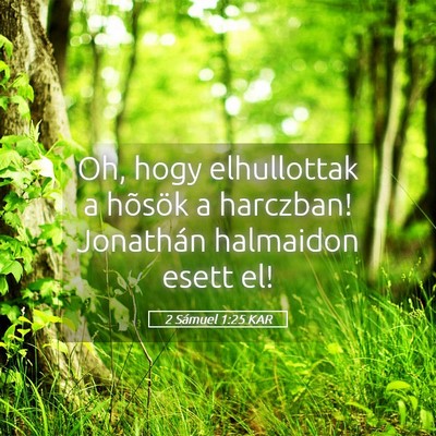 Picture 05 - 2 Sámuel 1:25 KAR - Oh, hogy elhullottak a hõsök a harczban! - Bible Verse Picture