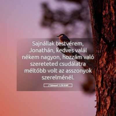 Picture 05 - 2 Sámuel 1:26 KAR - Sajnállak testvérem, Jonathán, kedves valál - Bible Verse Picture