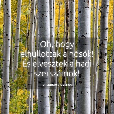 Picture 05 - 2 Sámuel 1:27 KAR - Oh, hogy elhullottak a hõsök! És elvesztek a - Bible Verse Picture