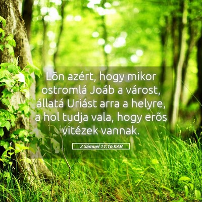 Picture 05 - 2 Sámuel 11:16 KAR - Lõn azért, hogy mikor ostromlá Joáb a - Bible Verse Picture