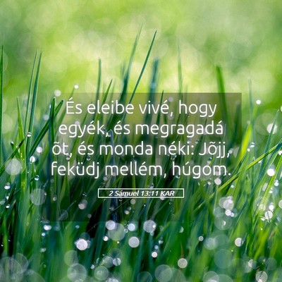 Picture 05 - 2 Sámuel 13:11 KAR - És eleibe vivé, hogy egyék, és megragadá - Bible Verse Picture