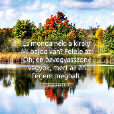 Picture 05 - 2 Sámuel 14:5 KAR - És monda néki a király: Mi bajod van? Felele - Bible Verse Picture