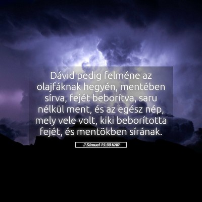 Picture 05 - 2 Sámuel 15:30 KAR - Dávid pedig felméne az olajfáknak hegyén, - Bible Verse Picture