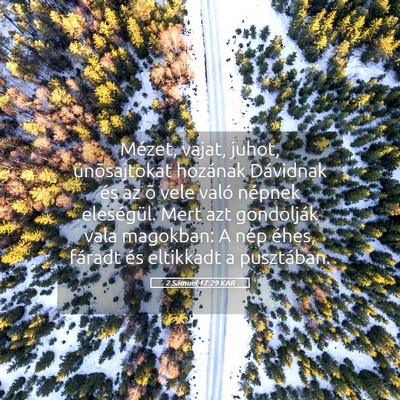 Picture 05 - 2 Sámuel 17:29 KAR - Mézet, vajat, juhot, ünõsajtokat hozának - Bible Verse Picture