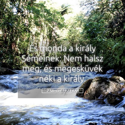 Picture 05 - 2 Sámuel 19:23 KAR - És monda a király Sémeinek: Nem halsz meg; és - Bible Verse Picture