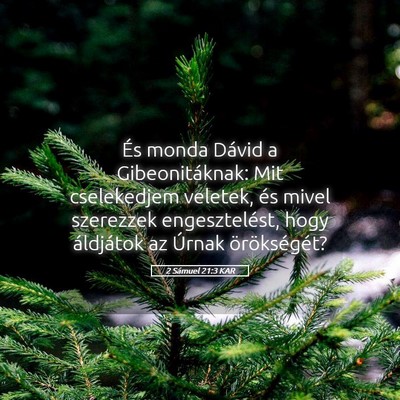 Picture 05 - 2 Sámuel 21:3 KAR - És monda Dávid a Gibeonitáknak: Mit - Bible Verse Picture