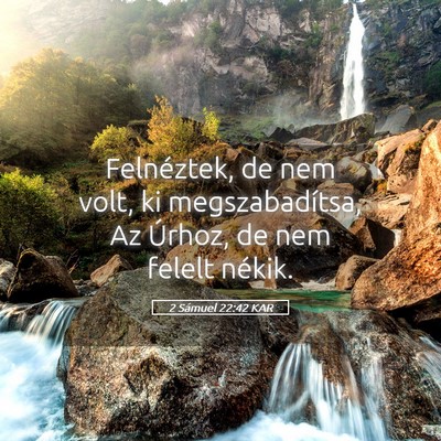 Picture 05 - 2 Sámuel 22:42 KAR - Felnéztek, de nem volt, ki megszabadítsa, Az - Bible Verse Picture