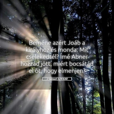 Picture 05 - 2 Sámuel 3:24 KAR - Beméne azért Joáb a királyhoz és monda: Mit - Bible Verse Picture