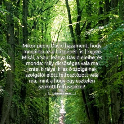Picture 05 - 2 Sámuel 6:20 KAR - Mikor pedig Dávid hazament, hogy megáldja az õ - Bible Verse Picture