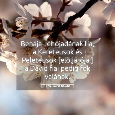Picture 05 - 2 Sámuel 8:18 KAR - Benája Jéhójadának fia, a Kereteusok és - Bible Verse Picture