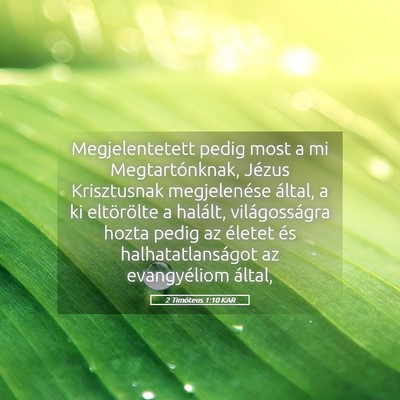 Picture 05 - 2 Timóteus 1:10 KAR - Megjelentetett pedig most a mi Megtartónknak, - Bible Verse Picture