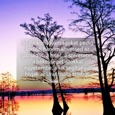 Picture 05 - 2 Timóteus 2:22 KAR - Az ifjúkori kivánságokat pedig kerüld; hanem - Bible Verse Picture