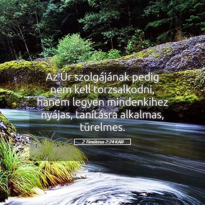Picture 05 - 2 Timóteus 2:24 KAR - Az Úr szolgájának pedig nem kell torzsalkodni, - Bible Verse Picture