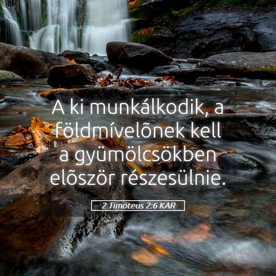 Picture 05 - 2 Timóteus 2:6 KAR - A ki munkálkodik, a földmívelõnek kell a - Bible Verse Picture