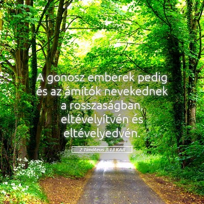 Picture 05 - 2 Timóteus 3:13 KAR - A gonosz emberek pedig és az ámítók - Bible Verse Picture