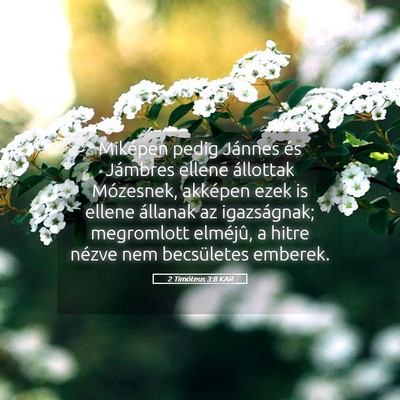Picture 05 - 2 Timóteus 3:8 KAR - Miképen pedig Jánnes és Jámbres ellene - Bible Verse Picture