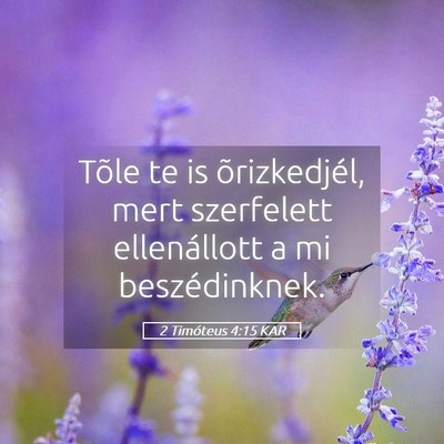 Picture 05 - 2 Timóteus 4:15 KAR - Tõle te is õrizkedjél, mert szerfelett - Bible Verse Picture