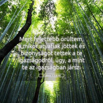 Picture 05 - 3 János 1:3 KAR - Mert felettébb örültem, a mikor atyafiak - Bible Verse Picture