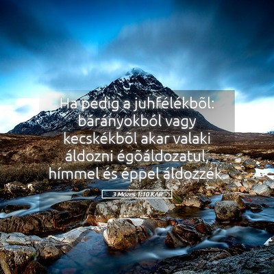 Picture 05 - 3 Mózes 1:10 KAR - Ha pedig a juhfélékbõl: bárányokból vagy - Bible Verse Picture