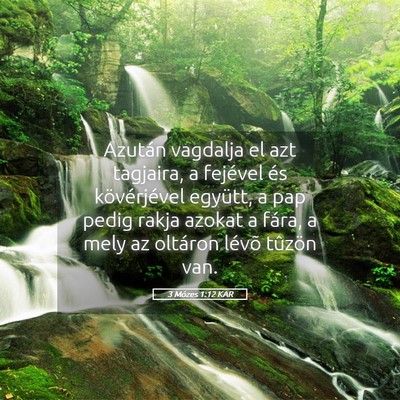 Picture 05 - 3 Mózes 1:12 KAR - Azután vagdalja el azt tagjaira, a fejével és - Bible Verse Picture