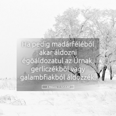 Picture 05 - 3 Mózes 1:14 KAR - Ha pedig madárfélébõl akar áldozni - Bible Verse Picture