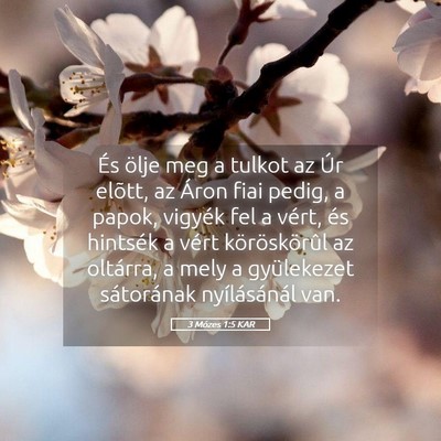 Picture 05 - 3 Mózes 1:5 KAR - És ölje meg a tulkot az Úr elõtt, az Áron - Bible Verse Picture