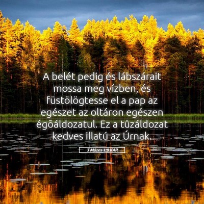 Picture 05 - 3 Mózes 1:9 KAR - A belét pedig és lábszárait mossa meg - Bible Verse Picture