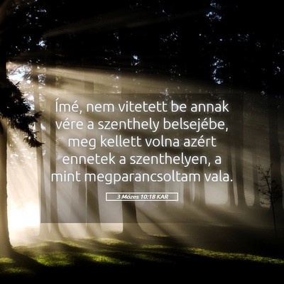 Picture 05 - 3 Mózes 10:18 KAR - Ímé, nem vitetett be annak vére a szenthely - Bible Verse Picture