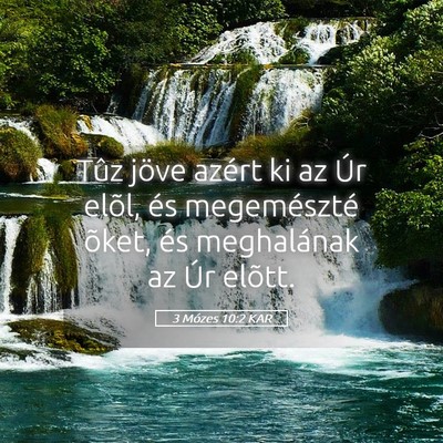 Picture 05 - 3 Mózes 10:2 KAR - Tûz jöve azért ki az Úr elõl, és - Bible Verse Picture