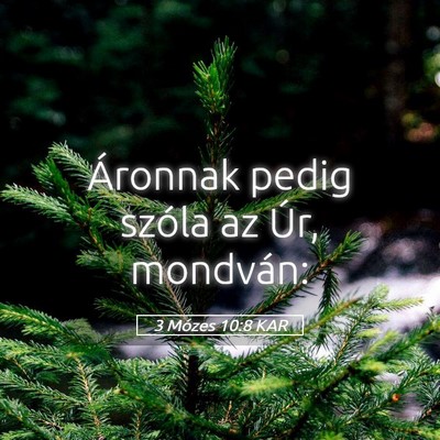 Picture 05 - 3 Mózes 10:8 KAR - Áronnak pedig szóla az Úr, - Bible Verse Picture
