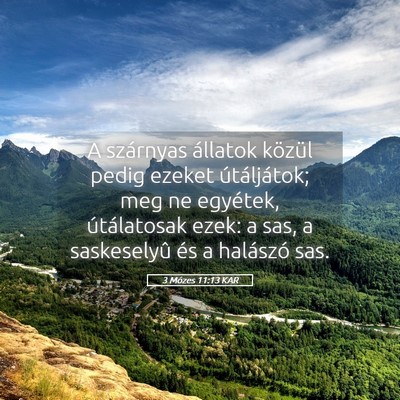 Picture 05 - 3 Mózes 11:13 KAR - A szárnyas állatok közül pedig ezeket - Bible Verse Picture