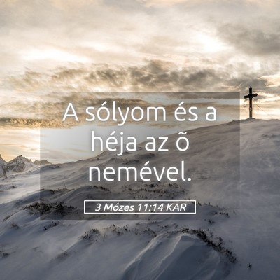 Picture 05 - 3 Mózes 11:14 KAR - A sólyom és a héja az õ - Bible Verse Picture