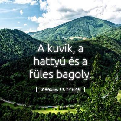 Picture 05 - 3 Mózes 11:17 KAR - A kuvik, a hattyú és a füles - Bible Verse Picture