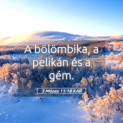 Picture 05 - 3 Mózes 11:18 KAR - A bölömbika, a pelikán és a - Bible Verse Picture