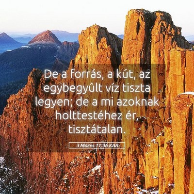 Picture 05 - 3 Mózes 11:36 KAR - De a forrás, a kút, az egybegyûlt víz tiszta - Bible Verse Picture